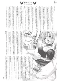 (C66) [STUDIO PAL (Ebi Chiriko, Kenzaki Mikuri, Nanno Koto)] Rio Chance (Super Black Jack)