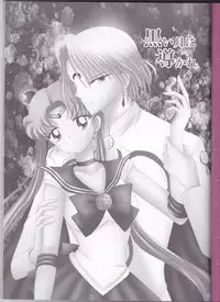 (C82) [MoE (Eiri)] Kuroi Tsuki ni Michibikare (Sailor Moon)