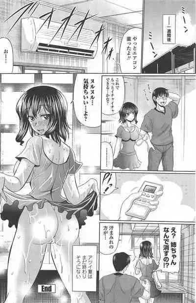 COMIC Penguin Celeb 2010-12