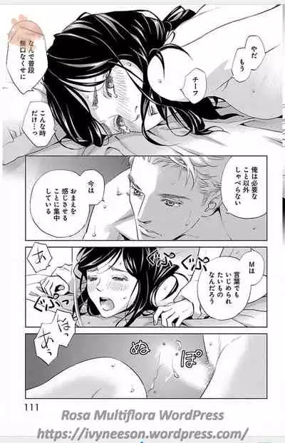 Subete Ai no Shiwaza/愛調教成性俘虜/爱调教成性俘虏/すべて愛のしわざ——もんでんあきこ vol 1-3End (Japanese)