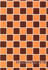 (C95) [telomereNA (Gustav)] Minami datte Yuuwaku Shimasu yo? (THE IDOLM@STER CINDERELLA GIRLS)