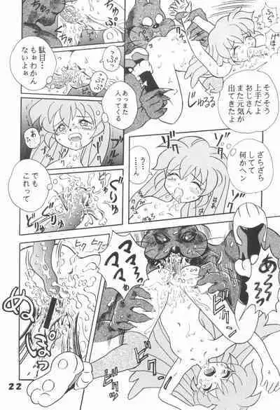 Hogo Kansatsu Doumei