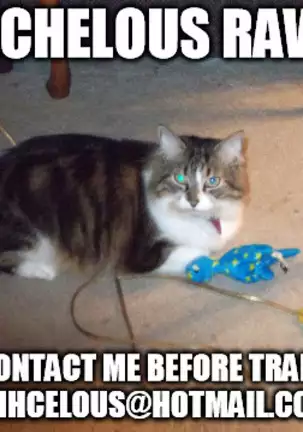 Hokenshitsu Ive Jiriki de Yarasete kudasai Onegai shimasu