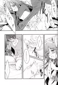 (C82) [ACIDSEA (Asuma Omi)] Satellite Rendezvous (Fire Emblem Awakening)