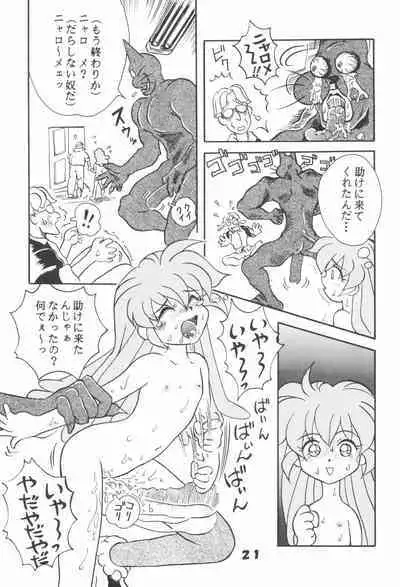 Hogo Kansatsu Doumei