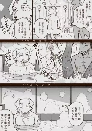 アオカネ銭湯日記