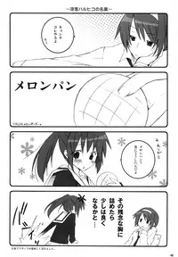 (C76) [nEetest (Yusya)] Kyonko no Matome (Suzumiya Haruhi no Yuuutsu)