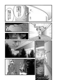 (C76) [Yuri Ai Kojinshi Kai (Yuri Ai)] CXC3 (Street Fighter)