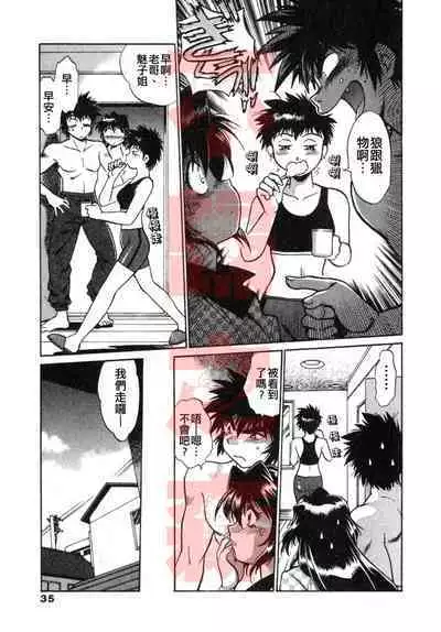 Oniku de CHU - Meat & Meet Paradise