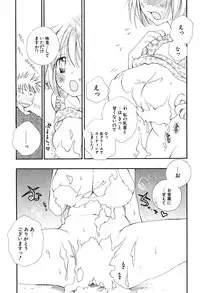 COMIC Potpourri Club 2004-06