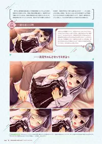 [Madosoft] Wagamama High Spec Visual Fanbook