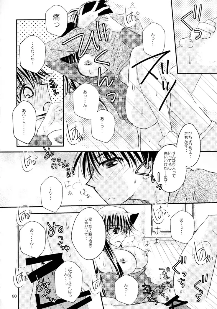 MACARON-CHOCOLAT-DOLCE