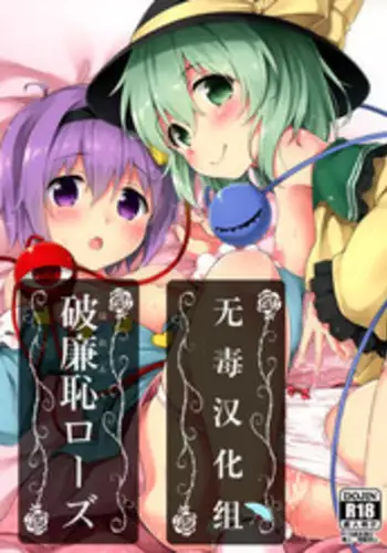(Reitaisai 12) [Takoyaki-Batake (Takoyaki)] Harenchi Rose (Touhou Project) [Chinese] [无毒汉化组]