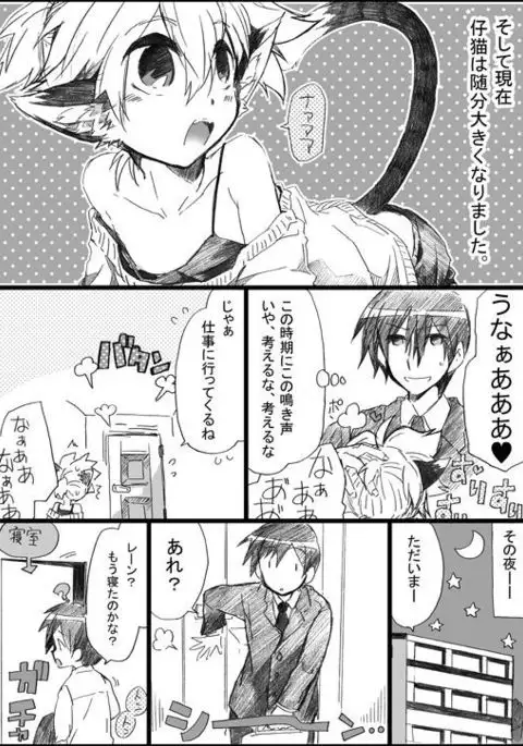 Nyanko no Iru Seikatsu