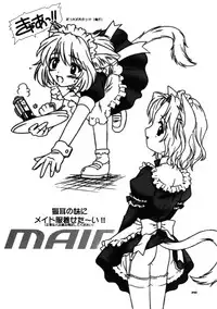 (C59) [.30-06 (Tsutsumi Akari)] CAZA MAYOR 6