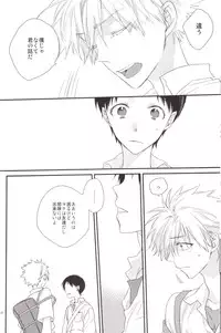 (C84) [Pink Elephant (Kotori)] circle cycle circurate (Neon Genesis Evangelion)