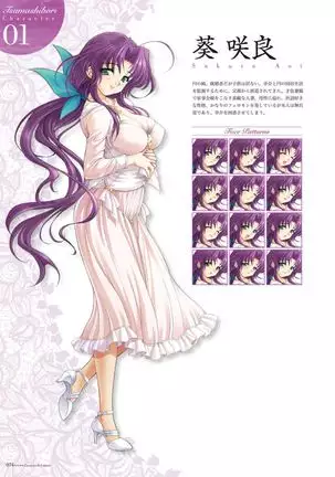 Alice soft "Tsuma wife series" Art Works