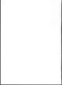 Midara no Shiro Usagi