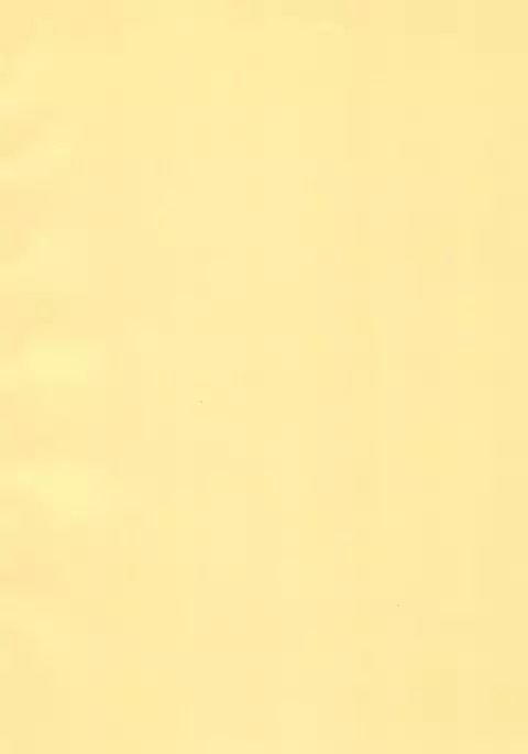 Nanyou no Vacances Sakusen