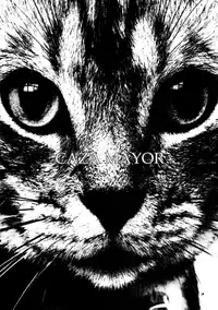 (C59) [.30-06 (Tsutsumi Akari)] CAZA MAYOR 6