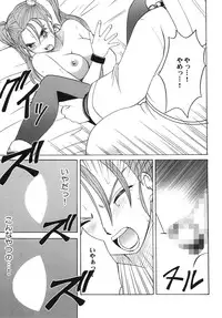 (C70) [Crimson Comics (Crimson)] Midasareshi Onna Madoushi Soushuuhen (Dragon Quest VIII)