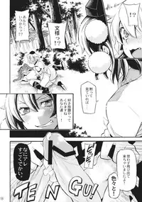 (C79) [Uousaohkoku (Uousaoh)] Nu. (Touhou Project)