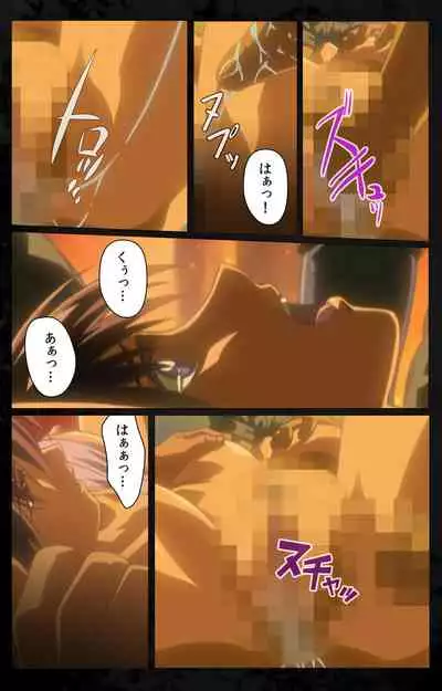 DARK SHELL ori no naka no tsuya kanzenhan