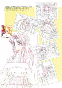 [白米玄(白玄米)]SCOOP原画集