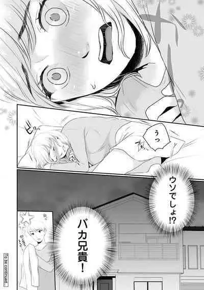 COMIC Ananga Ranga Vol. 91