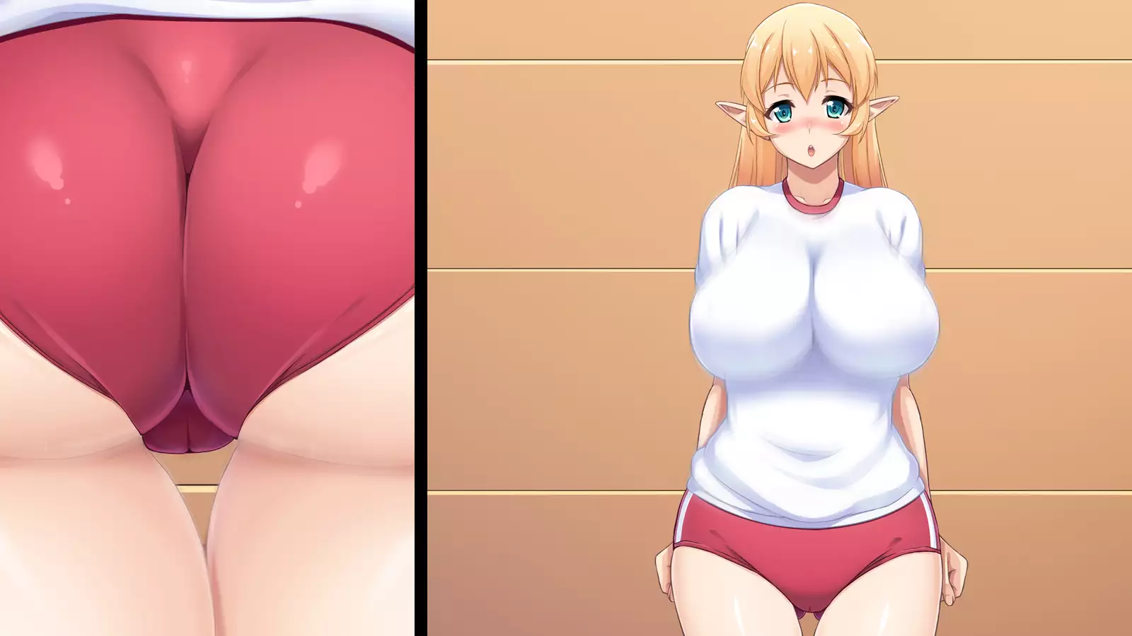 Junshin na Elf no Ryuugakusei ni Anal Choukyo shiyo！