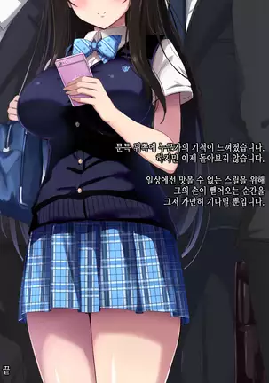 Chikan Taiken Kokuhaku