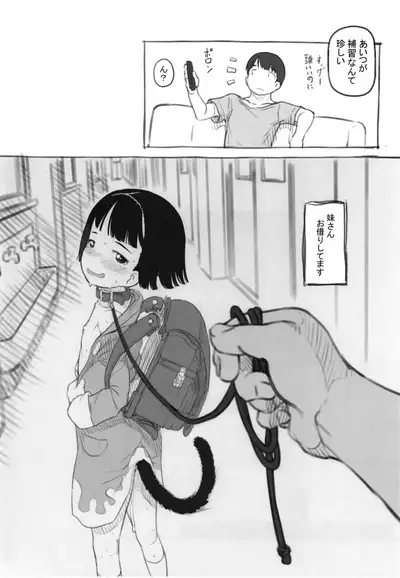 Irika no Shippo