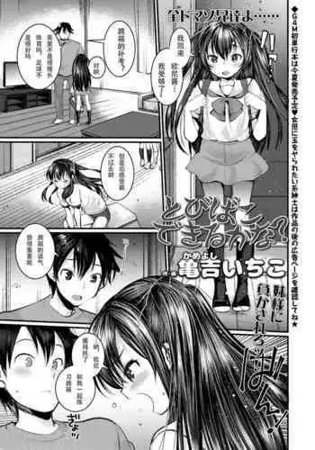 [Kameyoshi Ichiko] Tobibako Dekiru kana? (Girls forM Vol. 19) [Chinese] [???????????] [Digital]