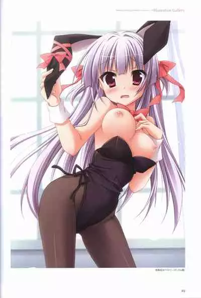 Hatsuyuki Sakura Visual Fanbook