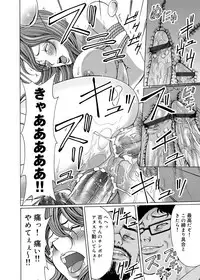 COMIC Magnum Vol. 41