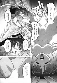 [Himehachi] Radical Vector