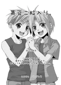 [Panda 4] Kimame ni Tsubu Iri (Fullmetal Alchemist)