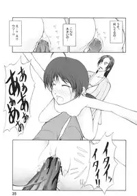 (SC33) [3g (Junkie)] DOF the densya of fighters (King of Fighters)