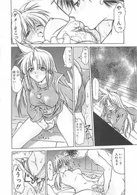 [Shizaki Masayuki] Abyssinian