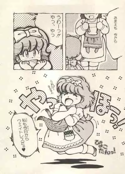 Bishoujo Shoukougun 6