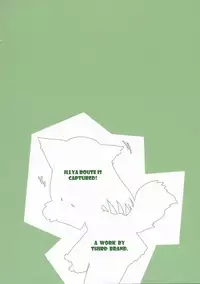 [THIRD BRAND] Illya Route Kouryaku! Ni. (Fate/Stay Night)