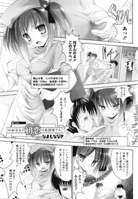 COMIC Mega GOLD 2008-05 Vol.7