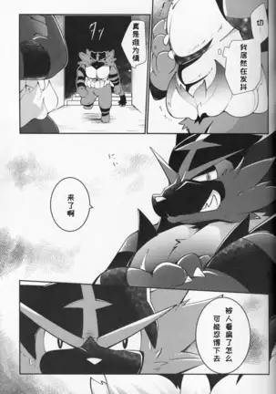 Tougi-ba no Make Neko | 斗技场的败猫