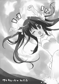 (COMIC1☆5) [Neko-bus Tei, Studio TRC, Black Shadow] OH!MY PIGS (Infinite Stratos)
