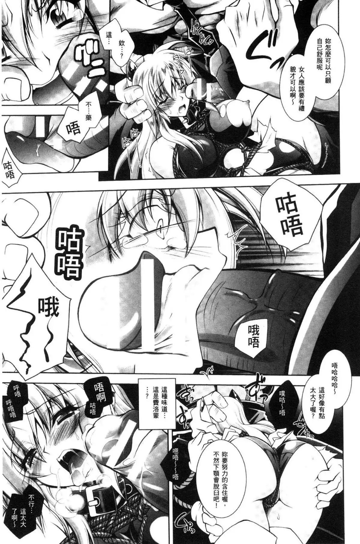 Fallen Justice -Seigi Shittsui-