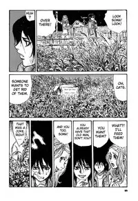 [Matsumoto Jiro] Tropical Citron 1