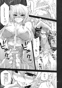 (COMIC1☆5) [FANTASY WIND (Minazuki Satoshi, Shinano Yura)] CATDAYS (DOG DAYS)