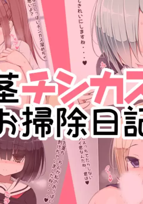 Hōkei Chin Kasu o Sōji Nikki