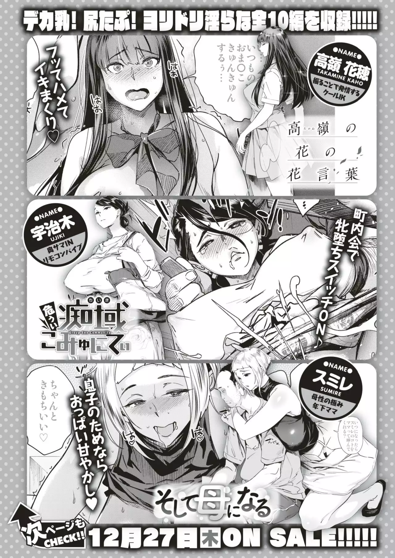 COMIC Shitsurakuten 2019-01