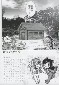 [RaijinKai (Haruki Genia)] ICHIGO Hazard 02 (ichigo 100%)